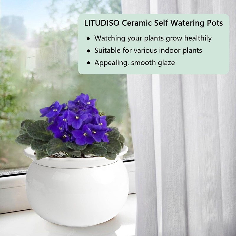 LITUDISO African Violet Pots, 6 Inch Self Watering Pots for