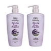 Raybee Body Wash Lavender / 레이비 바디워시 라벤더