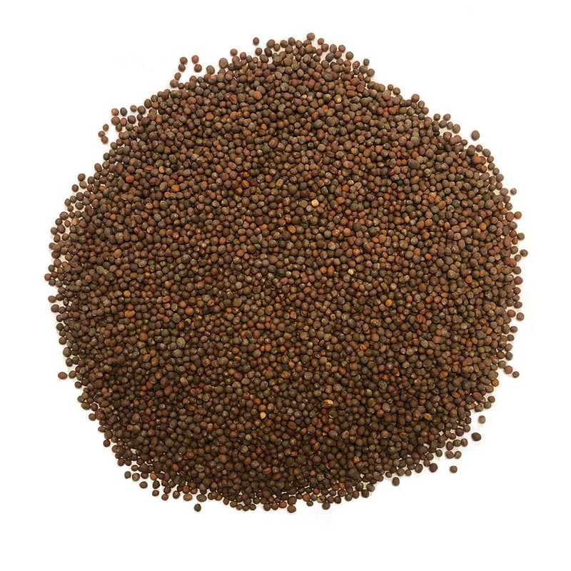 1 lb Broccoli Sprouting Seeds - Perfect for Sprouting &