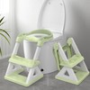 2 in 1 Potty Training Toilet Seat & Toddler Step