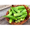 Green Okra 20+ Non-GMO Seeds for Planting