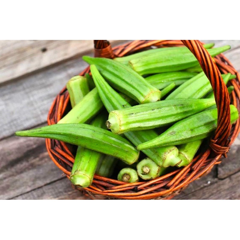 Green Okra 20+ Non-GMO Seeds for Planting