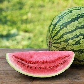 UtopiaSeeds Crimson Sweet Heirloom Watermelon Seeds - Approximately 60 Seeds