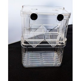 Aquarium Fish Breeder Box for Hatchery, Isolator, Injured Fish, Shrimp Clownfish