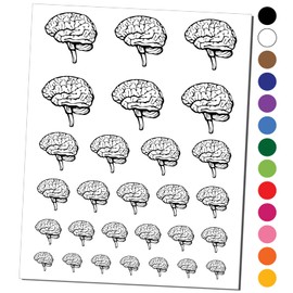 Human Brain with Cerebellum and Medulla Oblongata Temporary Tattoo Water Resistant Fake Body Art Set Collection - Black (One Sheet)