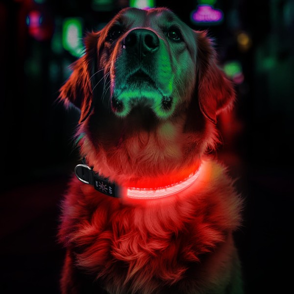 Light Up Dog Collar, Rechargeable LED Pet Collar Ultra Bright