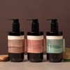 Hurdia 리프루스트 에센셜 블렌딩 비건 바디워시 300ml 3종 택1(+ 50ml