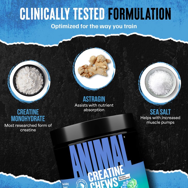 Animal Creatine Chews – Enhanced Creatine Monohydrate Chewable Tablets with