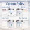 WHITE EGRET Epsom Salt, Eucalyptus, 2.5 Pound
