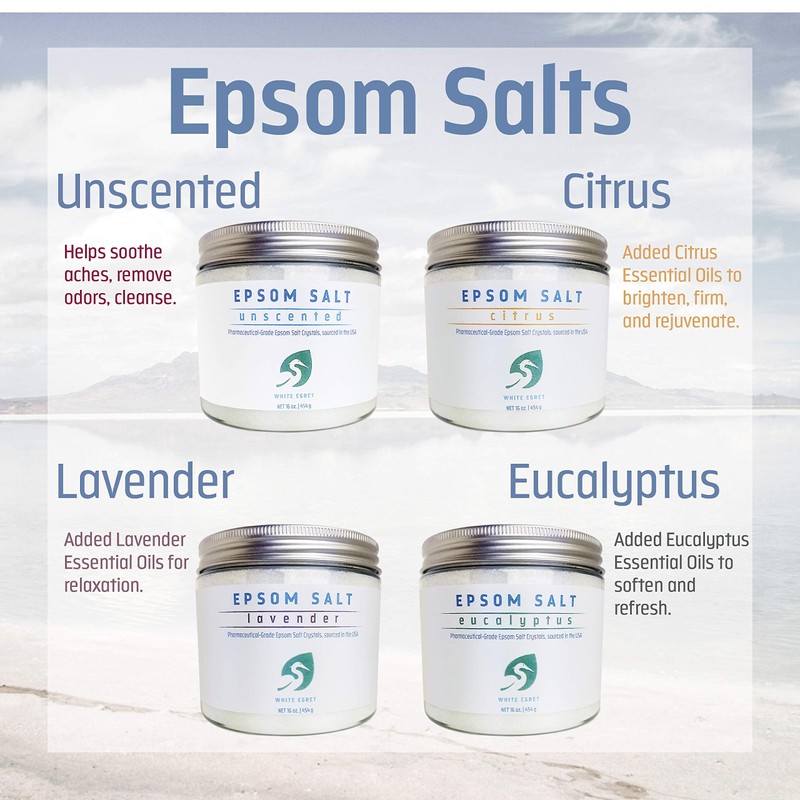 WHITE EGRET Epsom Salt, Eucalyptus, 2.5 Pound