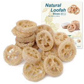 Natural Loofah Slices for Soap Making-20 Pack Organic Luffa Cuts for Soap Holder Exfoliating Soaps Sponge Handmade Loofa Soap Homemade DIY Sponge