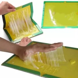 Unbranded Glue Traps Non-Toxic Super Sticky Insect Catcher "NOT for MICE, MOUSE, or RATS" - 1 TRAP