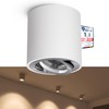 linovum Cori Pivoting Surface-Mounted Spotlight, White and Brushed Aluminium with