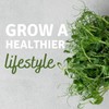 Re-usable Self-Watering Mini Microgreens Growing Trays - 2 Trays -
