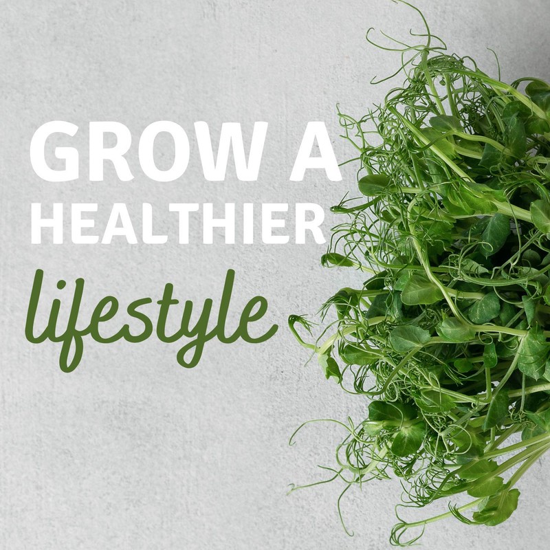 Re-usable Self-Watering Mini Microgreens Growing Trays - 2 Trays -