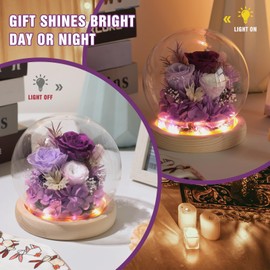 YWHSM YWHSM Valentines Day Roses Gifts for Her, Rose in Glass Dome with LED Light - Gifts for Women Mom Grandma Girlfriend Wife