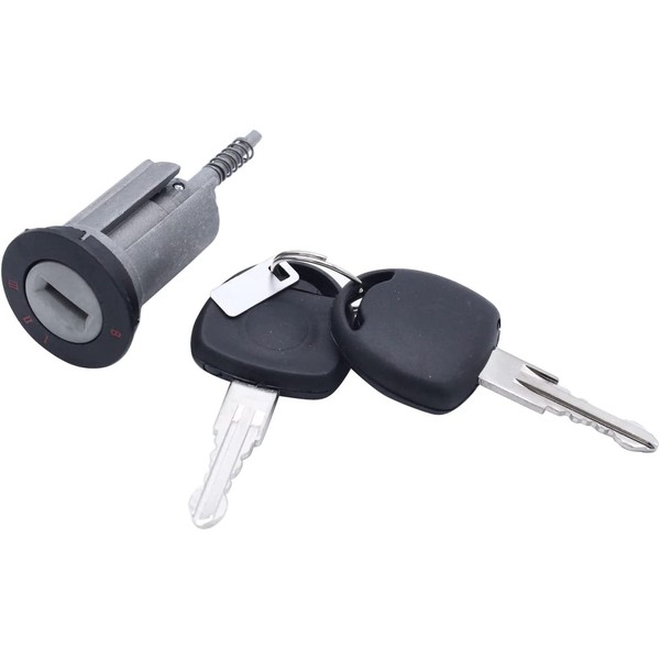 SHLPDFM Ignition Switch Ignition Switch and 2 x Keys for