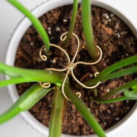 5-Pack Monstera Plant Support Hooks - Durable Metal Clips