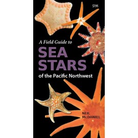 A Field Guide to Sea Stars of the Pacific Northwest
