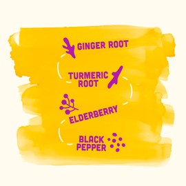 Vive Organic Immune Support Elderberry Shot, Cold-Pressed Turmeric & Ginger, Gluten Free, Vegan, Immunity Boost Elderberry, 2 Fl Oz (Pack of 12)
