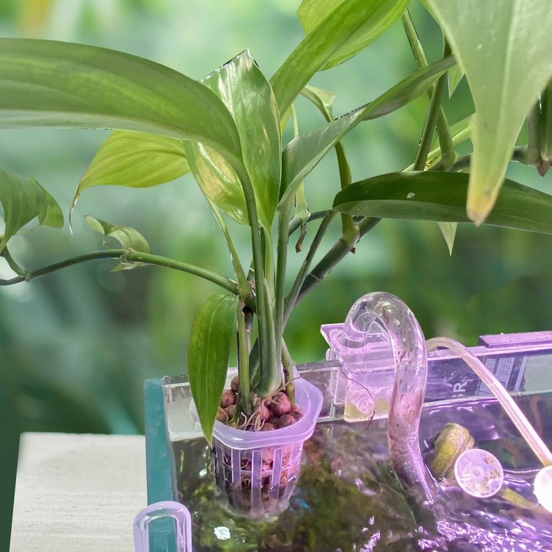 2Pcs Aquarium Plant Holders, Hanging Aquatic Plant Cups Fish Tank