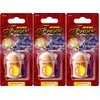 Areon Fresco Auto Duft Lavendel Blume Violett Glas Duftflakon Set