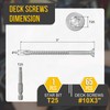 DTGN #10x3 Deck Screws - 65Pack - Good for Decks,