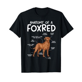 Anatomy Of A Foxred Lab Fox Red Labrador Retriever T-Shirt