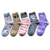 Mode Select Women's Socks, Cute, Cat Pattern, 5 Pairs Set,