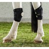Back on Track Therapeutic Hock Boots Medium