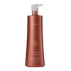 DESIGNLINE Honey & Aloe Shampoo, 32.5 oz - Regis Gently