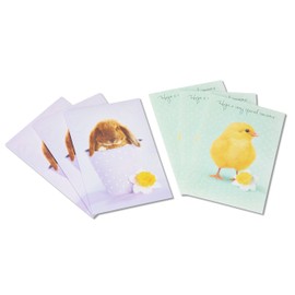 American Greetings Bunny and Chick Easter Cards with Glitter, 6 Count