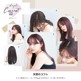 Medical Wig Full Wig See-through Bang Medium Long Natural Hand Planted "Angel Coffret" (Dark Brown)