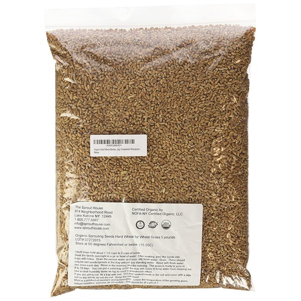 Non-gmo Certified Organic Hard Wheat Berries for Wheatgrass Juice - 5 Pounds Wheatgrass; Grind Into Whole Wheat Flour; Pet Grass; Cat Grass; Ornamental Grass for Decorating; Ornamental Wheatgrass