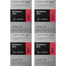 Green Cross Wellbeing PNT Berberine 500mg 60 tablets, 4 boxes / 녹십자웰빙 PNT 베르베린 500mg 60정, 4박스