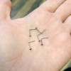 LionGothic 5 Pack of L Bend Nose Rings Press Fit