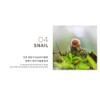 Orjena Natural Moisture Snail Mask Sheet 10pcs
