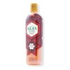 Shampoo Huichol De Café Con Gotu Kola, Botella 400 Ml