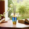 Airkeep Reed Diffuser Set 5.07 fl oz, Ocean Mist &