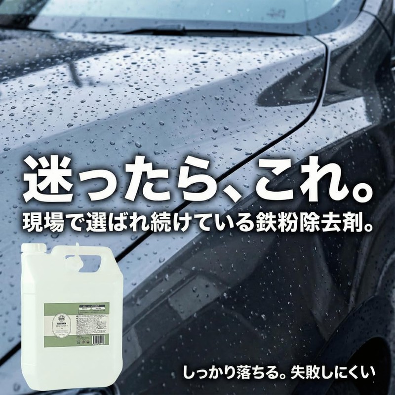 TRY TEPPUN Iron Powder Remover, Powerful Removal of Iron Powder