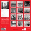 Graphique 2026 New York Wall Calendar | 12” x 12”