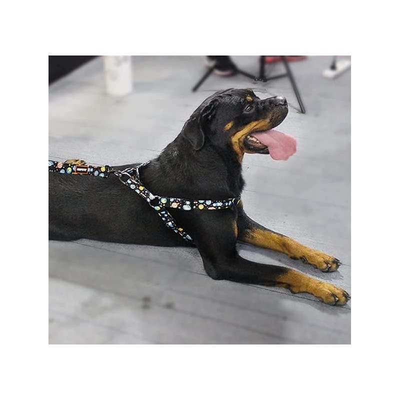 Cosyhome London Dog Harness Leash Set, Breathable,Adjustable,Dog Lead and Harness
