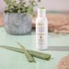eJove, Aloe Vera Gel, 100 ml