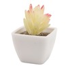 6PCS Potted Artificial Succulents Artificial Plants in Pots Plastic Fake