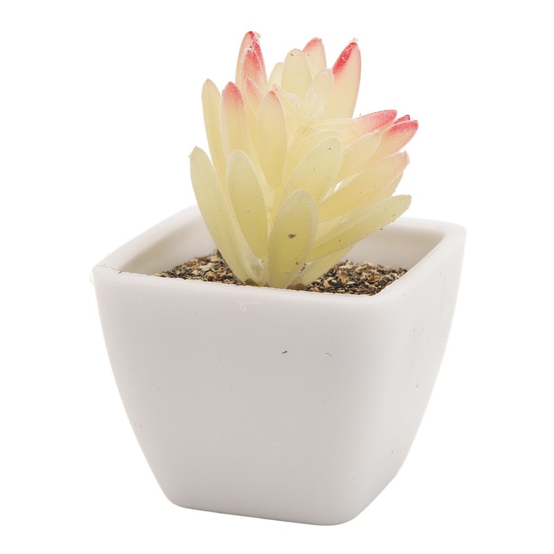 6PCS Potted Artificial Succulents Artificial Plants in Pots Plastic Fake