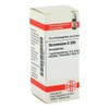 STRAMONIUM D 200 Globuli 10 g