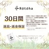 Rotoha Twin Brush, Straight Brush, Just Clip and Blow, Black,