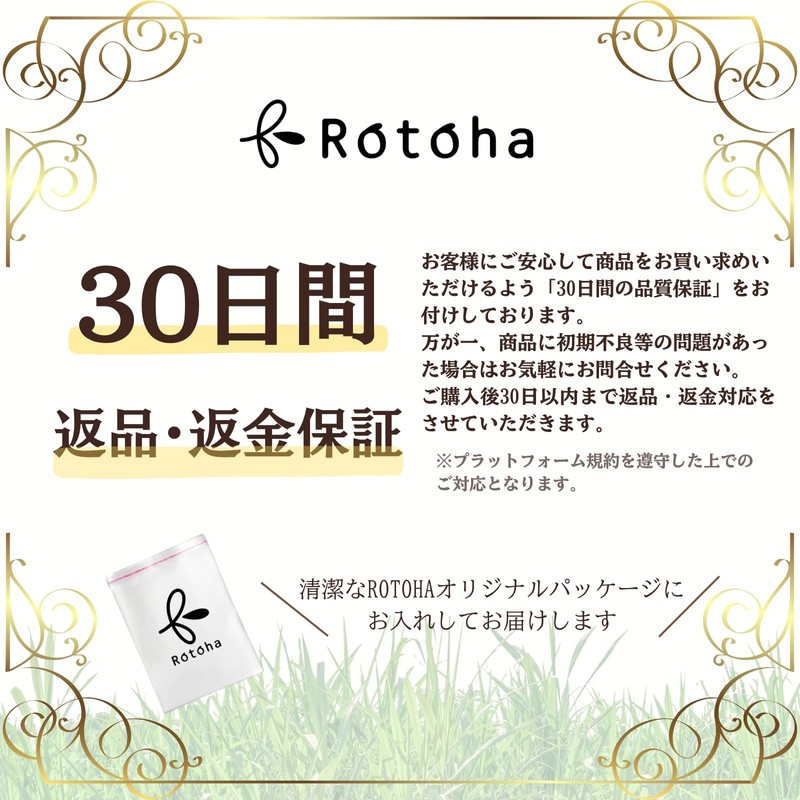 Rotoha Twin Brush, Straight Brush, Just Clip and Blow, Black,