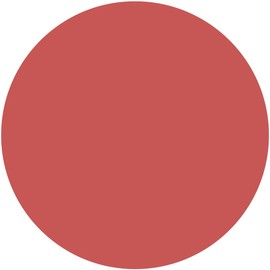 kiss Lip Armor, X01 Showy Strawberry x 1