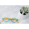 Round Reading Glasses in Clear/Black by Readers.com | The Flamingo